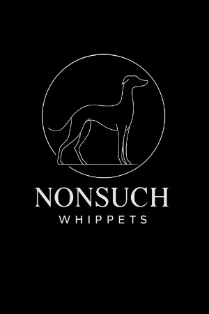 Nonsuch Whippets            